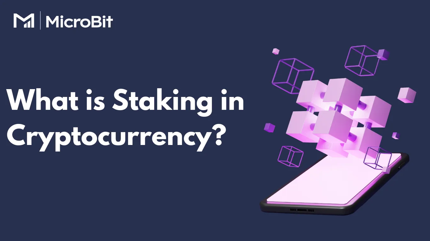 What is Staking in Cryptocurrency?