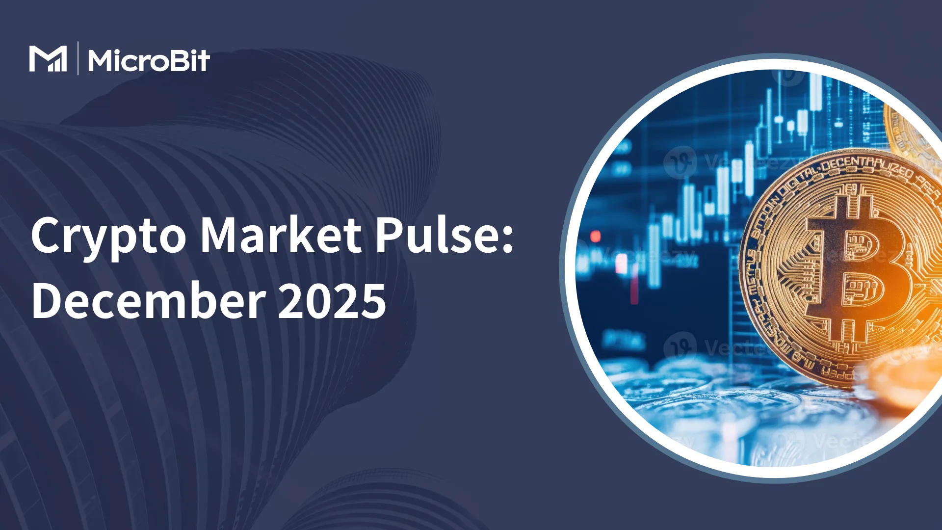 Crypto Market Pulse: December 2025